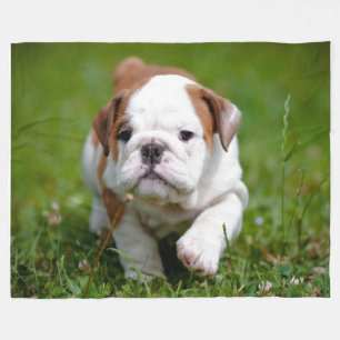 COUVERTURE POLAIRE JE VAIS ÊTRE UN "COU EN CUIR"