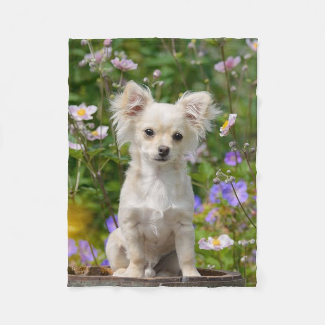 Couverture Polaire Jolie photo Chihuahua Chig Chippy aux cheveux long (Devant)