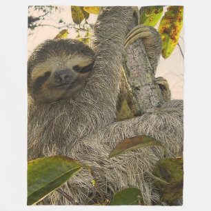 Couverture Polaire Jolie Sloth