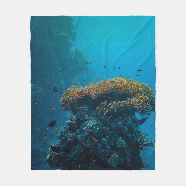 Couverture Polaire Jolies Poissons Et Barrière (Devant)