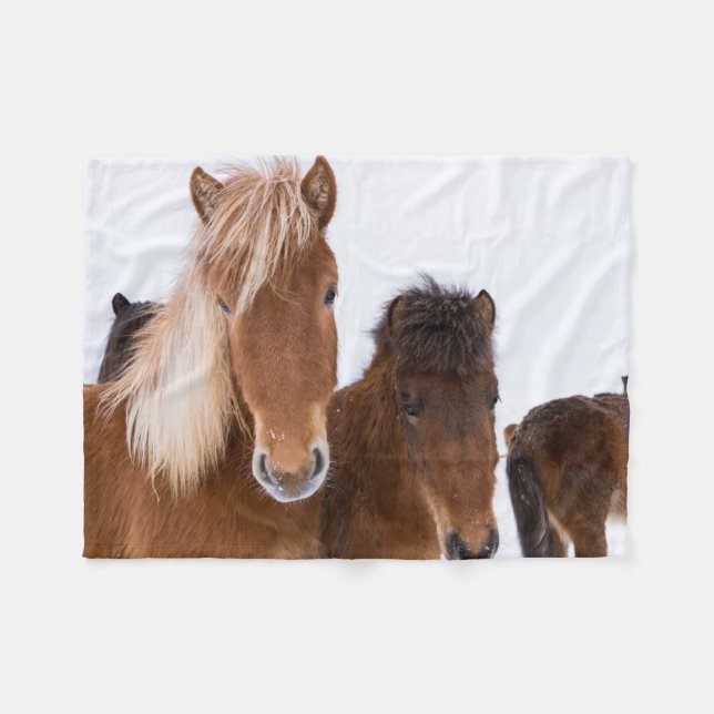 Couverture Polaire Jolis chevaux islandais ensemble (Devant (Horizontal))
