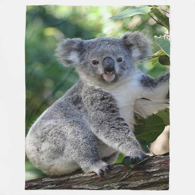 Couverture Polaire Koala australien câlin mignon (vertical) dans le (Devant)