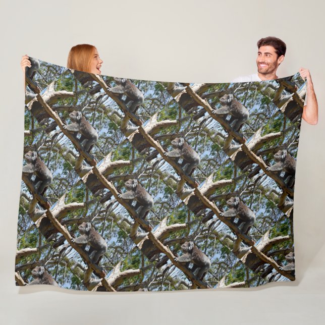 Couverture Polaire Koala Australien Sauvage Dans Les Gommes, (En situation)