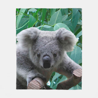 Couverture Polaire Koala et eucalyptus