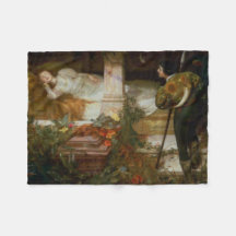 La Belle au Bois Dormant (le prince charmant et sa