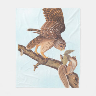 Couverture Polaire La Chouette barrée d'Audubon et les amis de l'écur
