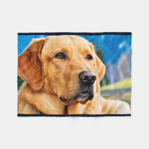 Couverture Polaire Labrador retriever d'or