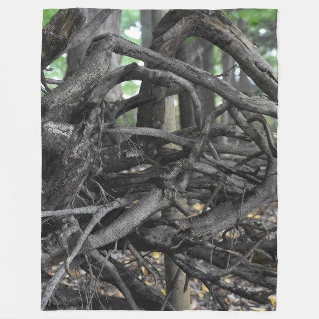 Couverture Polaire L'amour d'un arbre tombé (Devant)