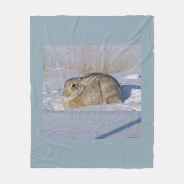Couverture Polaire Lapin Cottontail R5 dans la neige (Devant)