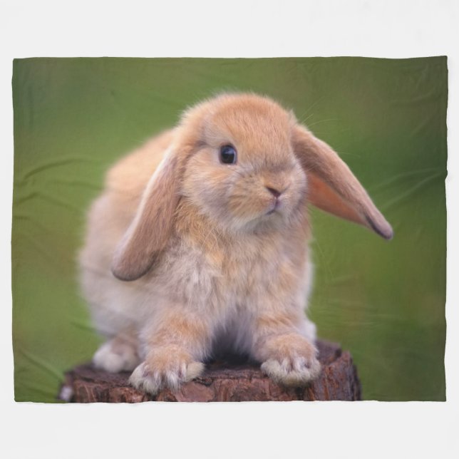 COUVERTURE POLAIRE LAPIN DE CARESSE (Devant (Horizontal))
