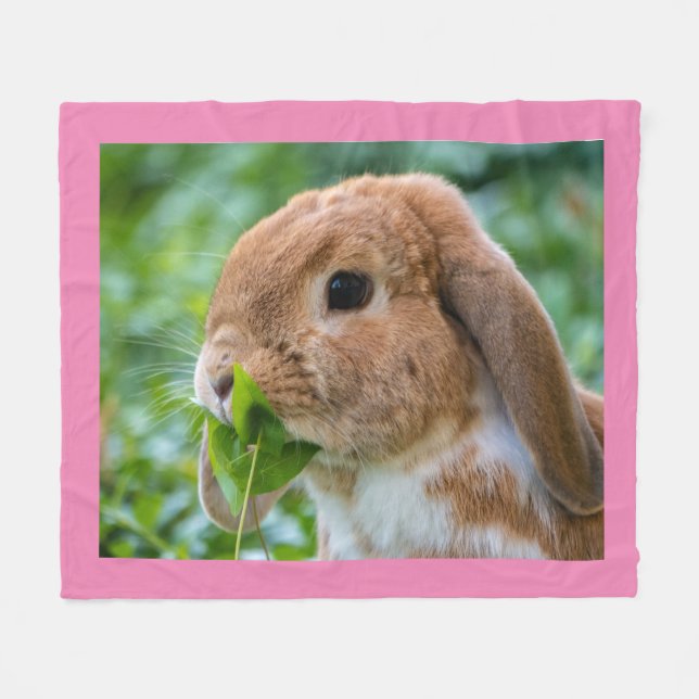 Couverture Polaire Lapin Lapin Lapin De Mini Lop (Devant (Horizontal))