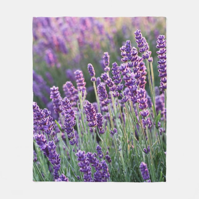 Couverture Polaire Lavande Lusace (Devant)