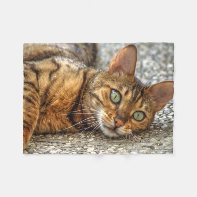 Couverture Polaire Lazy Bengal (Devant (Horizontal))