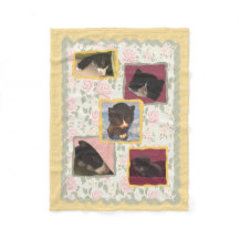 Le chat, chats de Kitty autoguident la maison