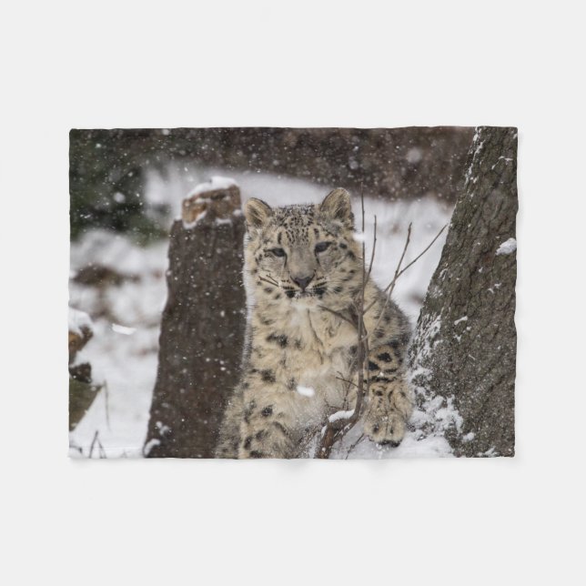 Couverture Polaire Léopard de neige CUB (Devant (Horizontal))