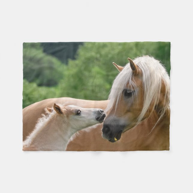 Couverture Polaire Les chevaux de Haflinger caresse poulinent et de (Devant (Horizontal))