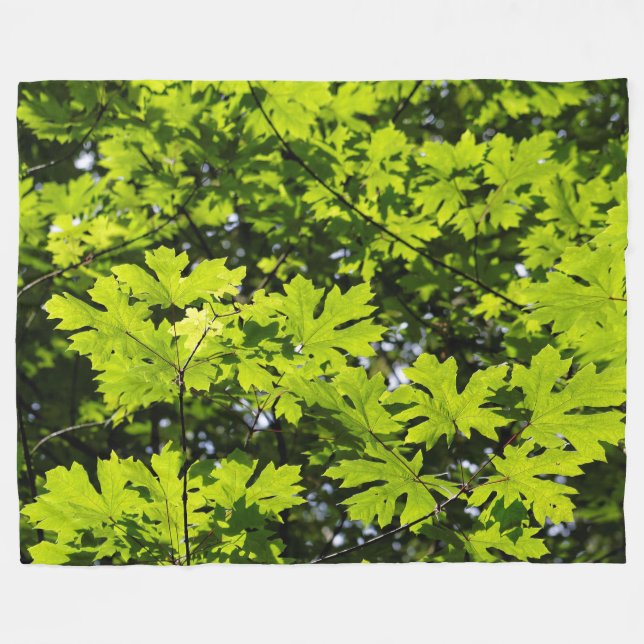 Couverture Polaire Les Feuilles de la forêt (Devant (Horizontal))