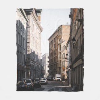 COUVERTURE POLAIRE LES VOITURES DISPOSÉES SUR LE CÔTÉ DE LA ROUTE ENT