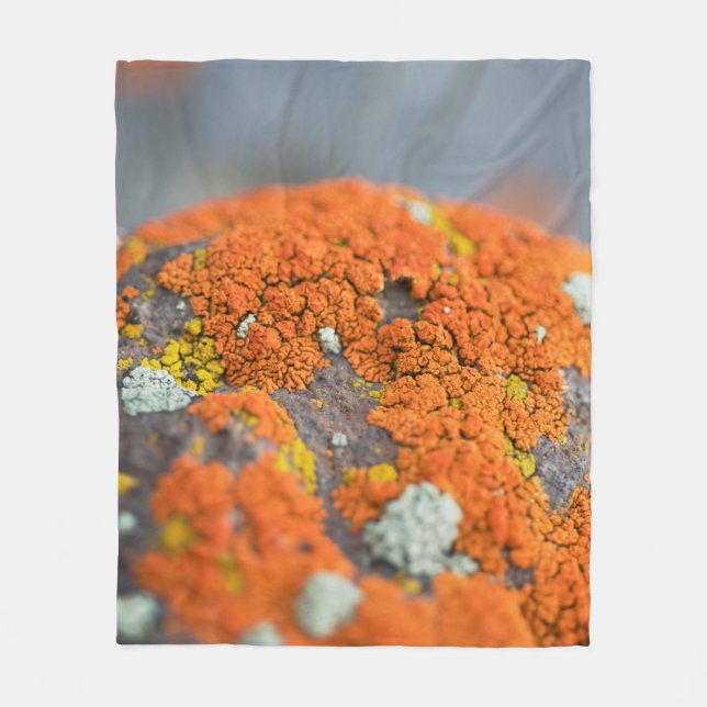 Couverture Polaire Lichen orange moss pierre gris (Devant)