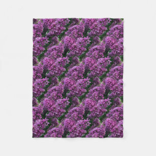 Couverture Polaire lilas rose violet   photo florale rose romantique