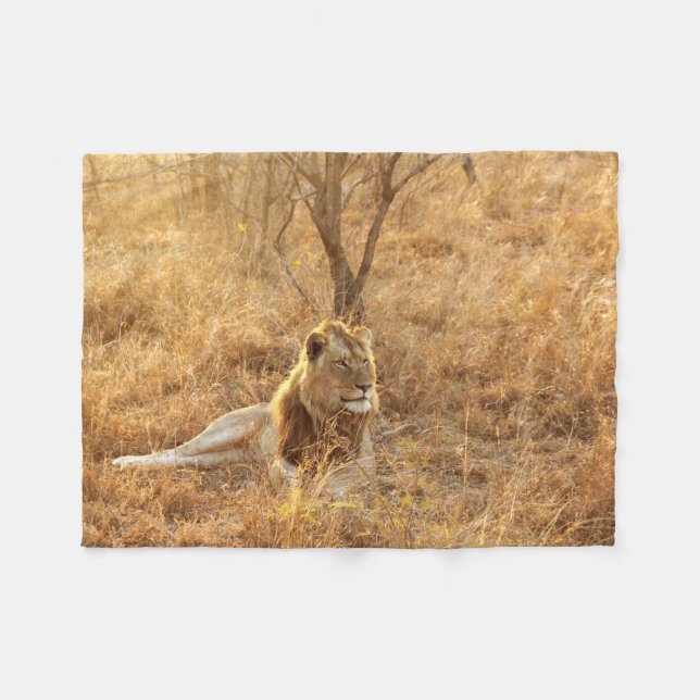 Couverture Polaire Lion (Devant (Horizontal))