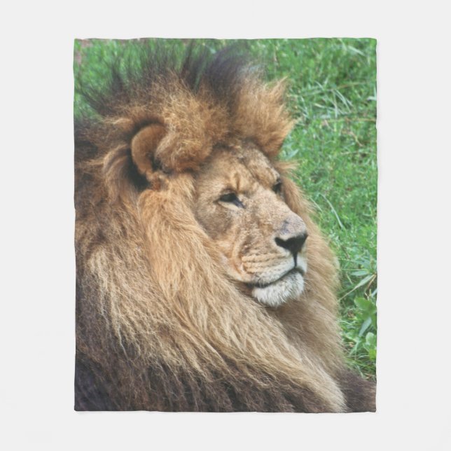 Couverture Polaire Lion 001 (Devant)