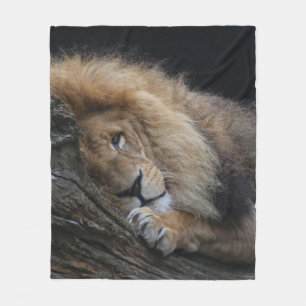 Couverture Polaire Lion 030
