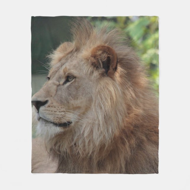 Couverture Polaire Lion 035 (Devant)