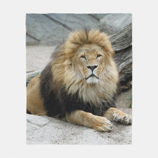 Couverture Polaire Lion_2014_1001 (Devant)