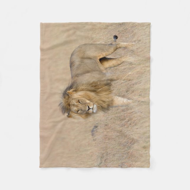 Couverture Polaire Lion marche (Devant)