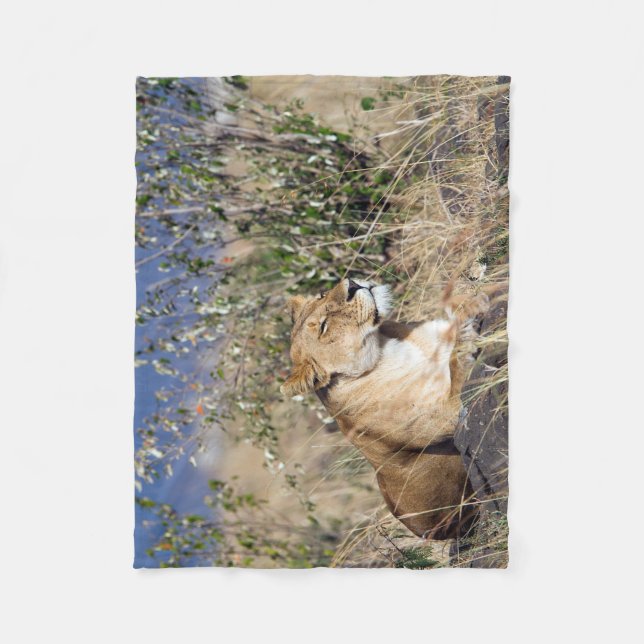 Couverture Polaire Lioness resting (Devant)