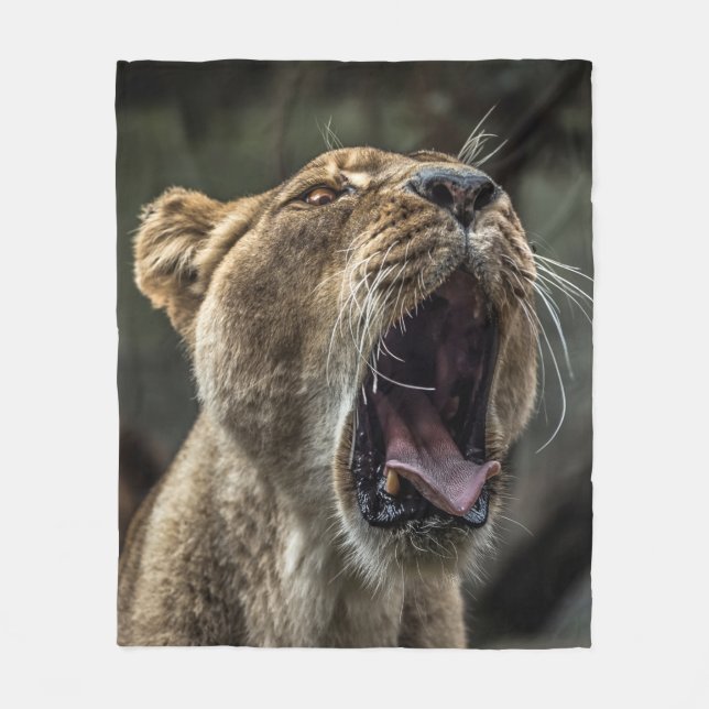 COUVERTURE POLAIRE LIONESS YAWNING (Devant)