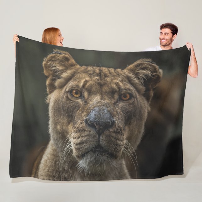 COUVERTURE POLAIRE LIONNEMENT (En situation)