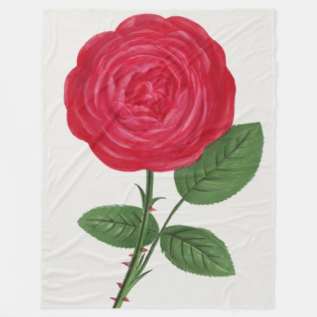 Couverture Polaire Lithographie de rose antique, François-Frédéric Gr (Devant)