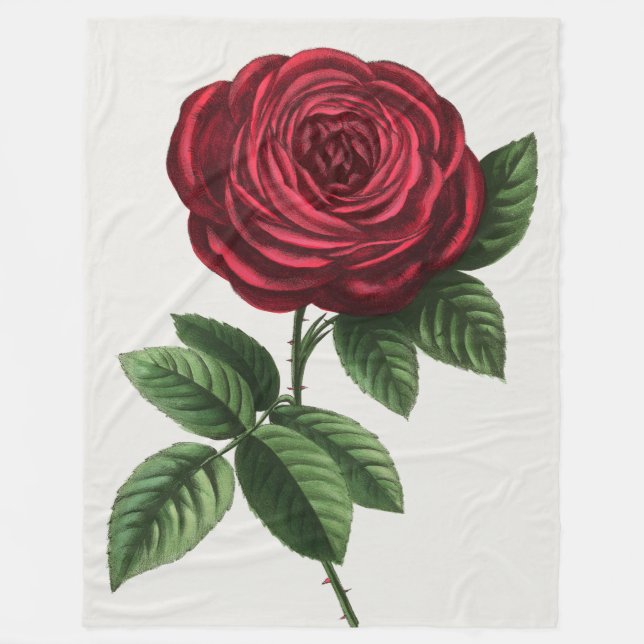 Couverture Polaire Lithographie de rose antique, François-Frédéric Gr (Devant)