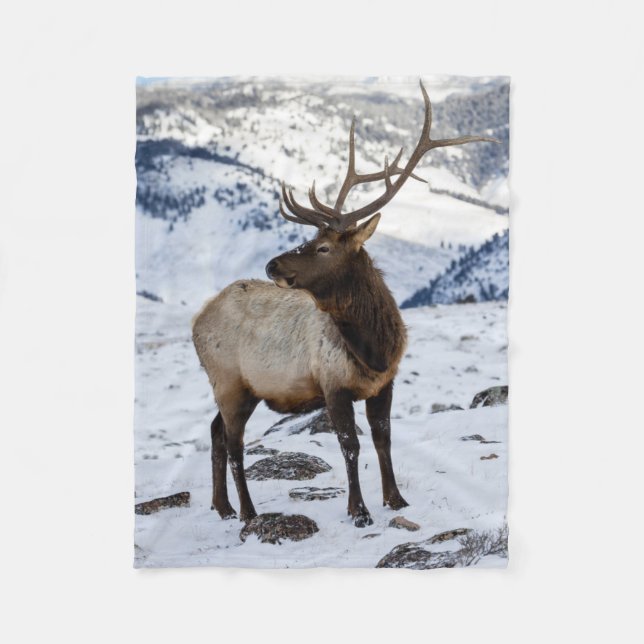 Couverture Polaire Lone Bull Elk dans la neige | Parc national de Yel (Devant)