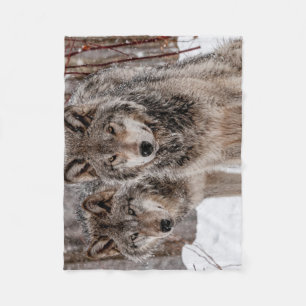 Couverture Polaire Loup gris-oriental