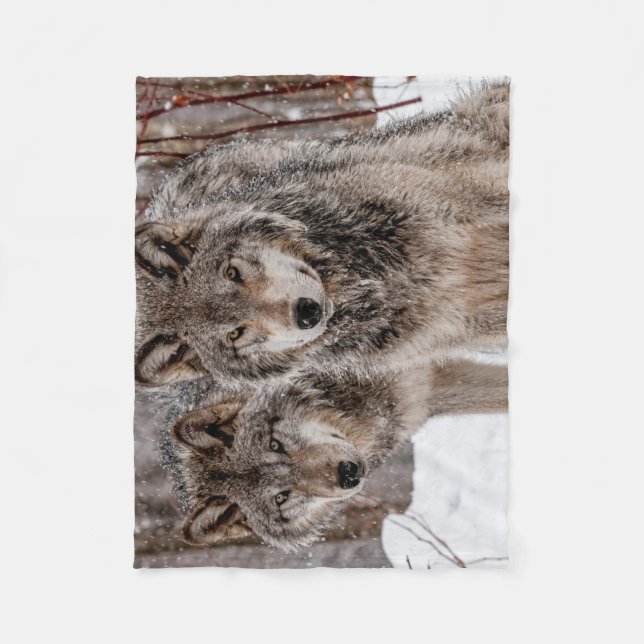 Couverture Polaire Loup gris-oriental  (Devant)