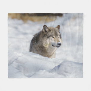 Couverture Polaire Loup solitaire en neige