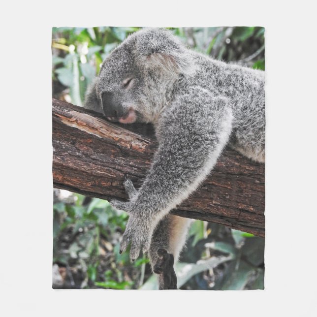 COUVERTURE POLAIRE L'OURS DE KOALA DORT SUR L'ARBRE (Devant)