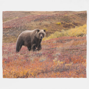 Couverture Polaire L'ours déplace le parc national de Denali, Alaska