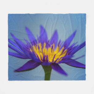 Couverture Polaire Lys d'eau violet