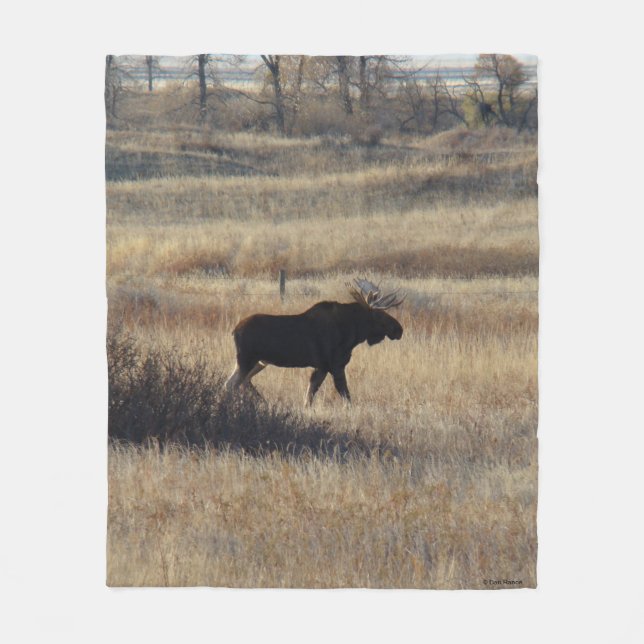 Couverture Polaire M5 Orignal et collines de sable (Devant)