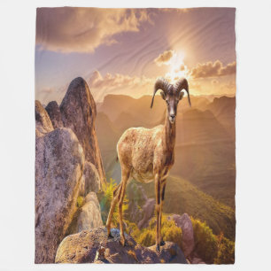 Couverture Polaire Magnifique Antelope
