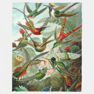 Couverture Polaire Magnifiques colibris d'art par Ernst Haeckel