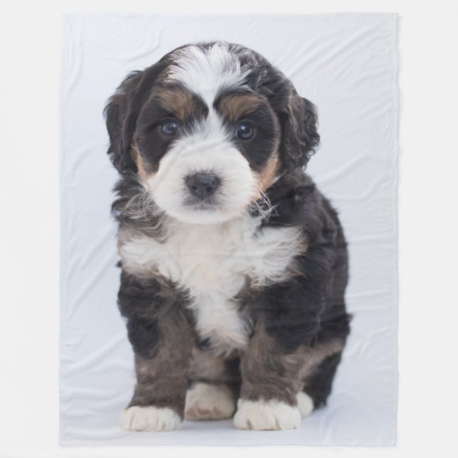 COUVERTURE POLAIRE MALTESE PUPPY (Devant)