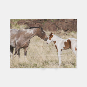 Couverture Polaire Mare avec Colt