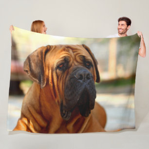 COUVERTURE POLAIRE MASTIFF ANGLAIS