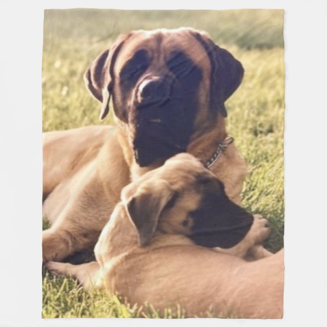 COUVERTURE POLAIRE MASTIFFS ANGLAIS (Devant)