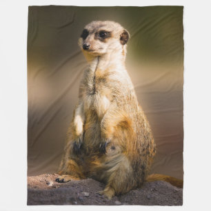 COUVERTURE POLAIRE MEERKAT